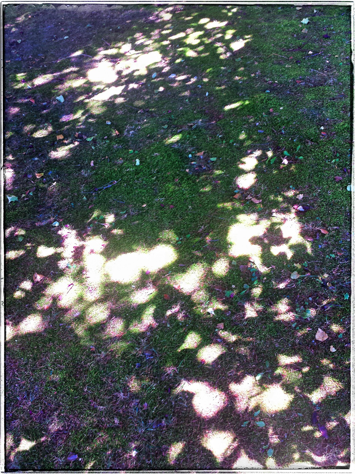 Christian_Morel_20150721_142835-01-01