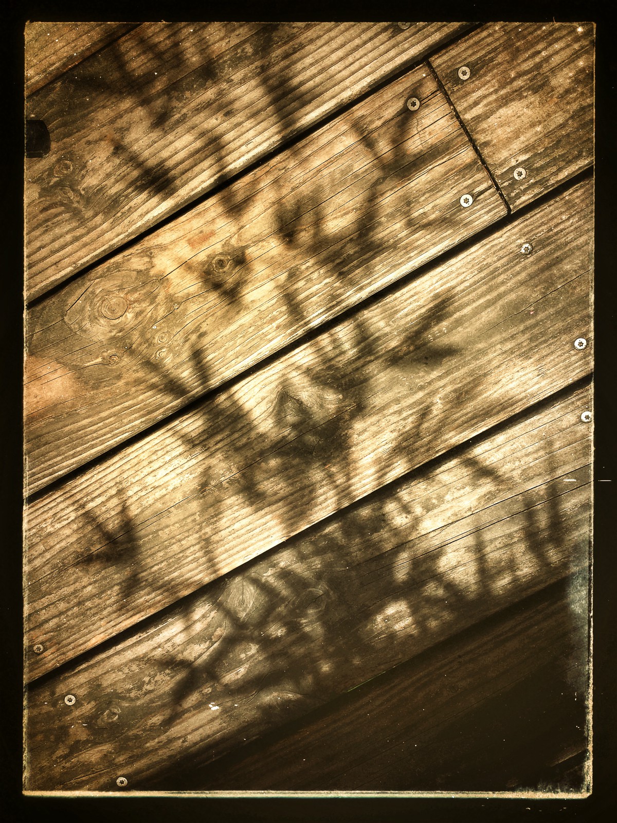 Christian_Morel_20150626_153943_1