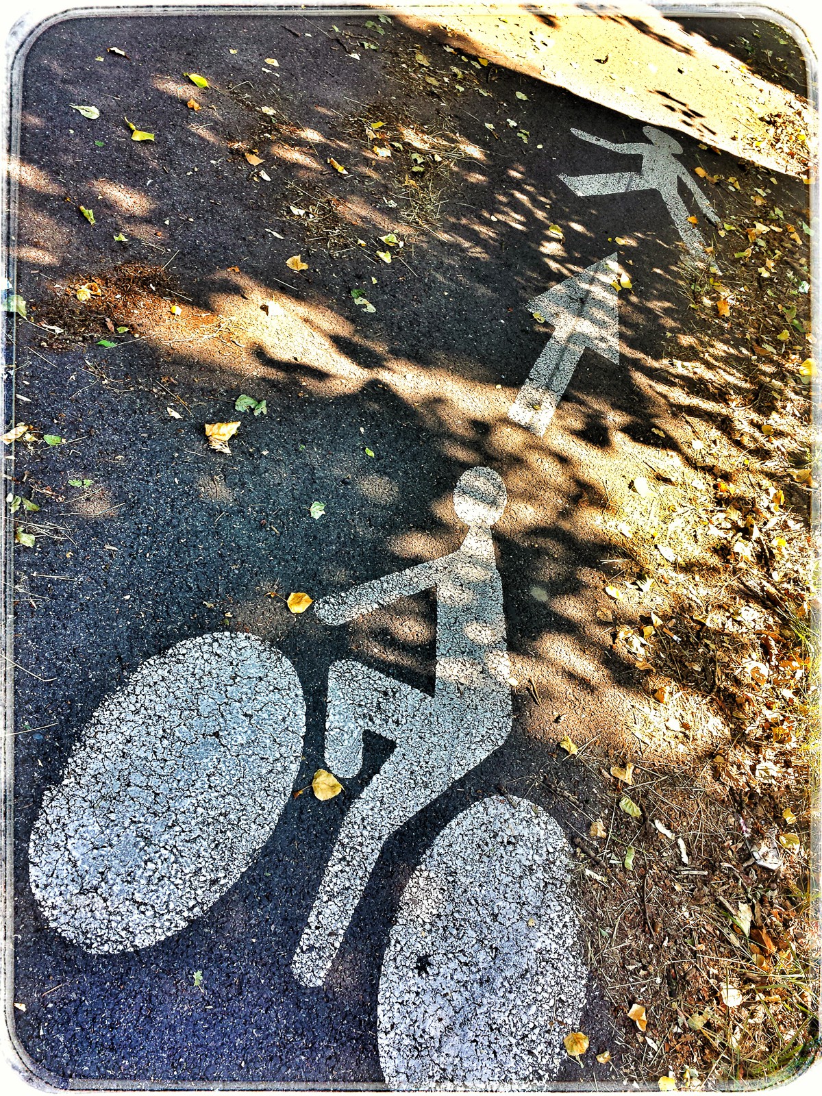 Christian_Morel_20150701_102720-01