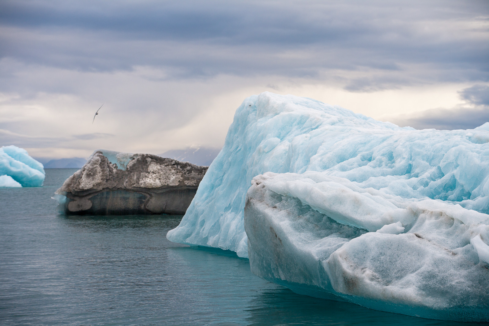 Notre Patrimoine Polaire