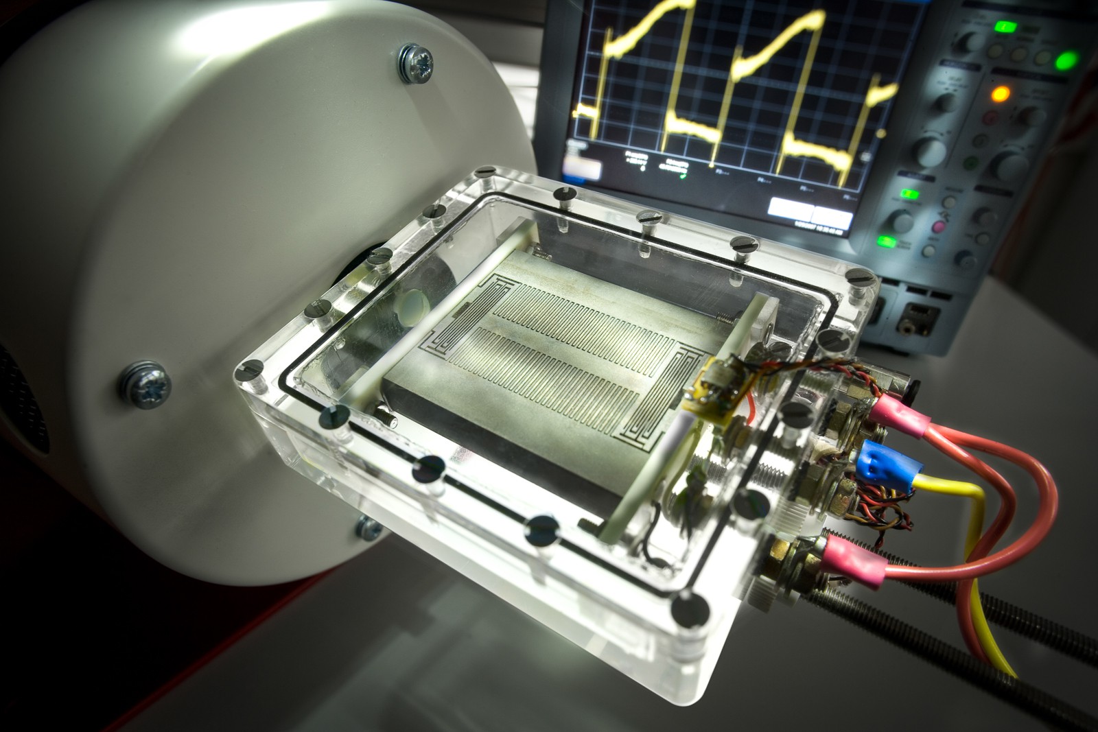 IdeasLab Pot vibrant